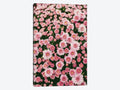 Canvas Prints G87657