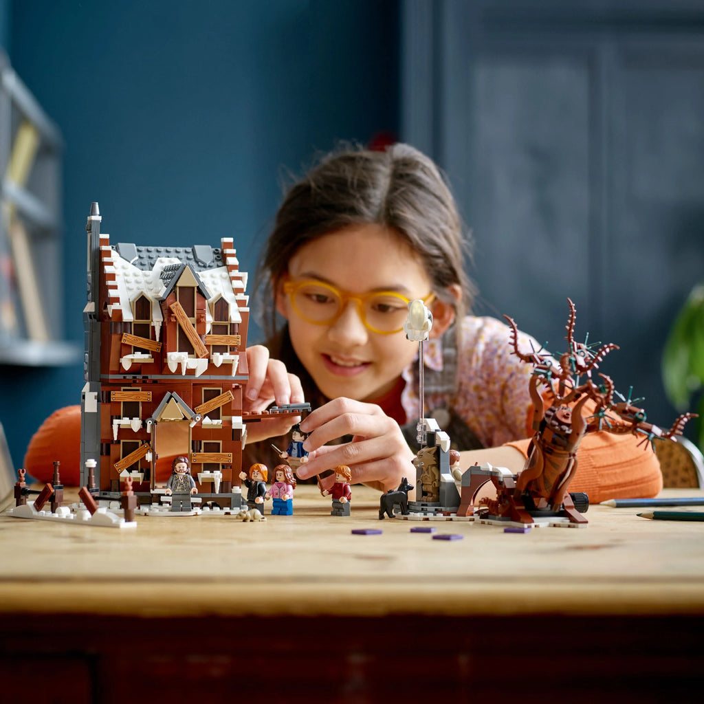 2 in 1 Wizarding World Toy N9976