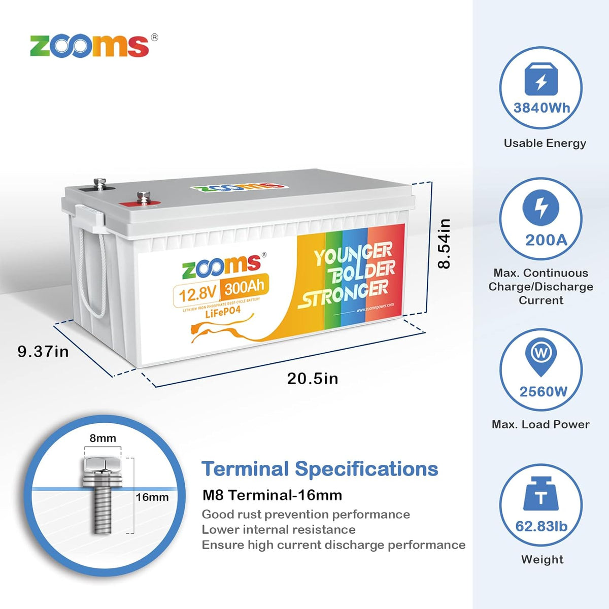 12.8V 200Ah Lithium LiFePO4 Battery with 200A BMS E79351