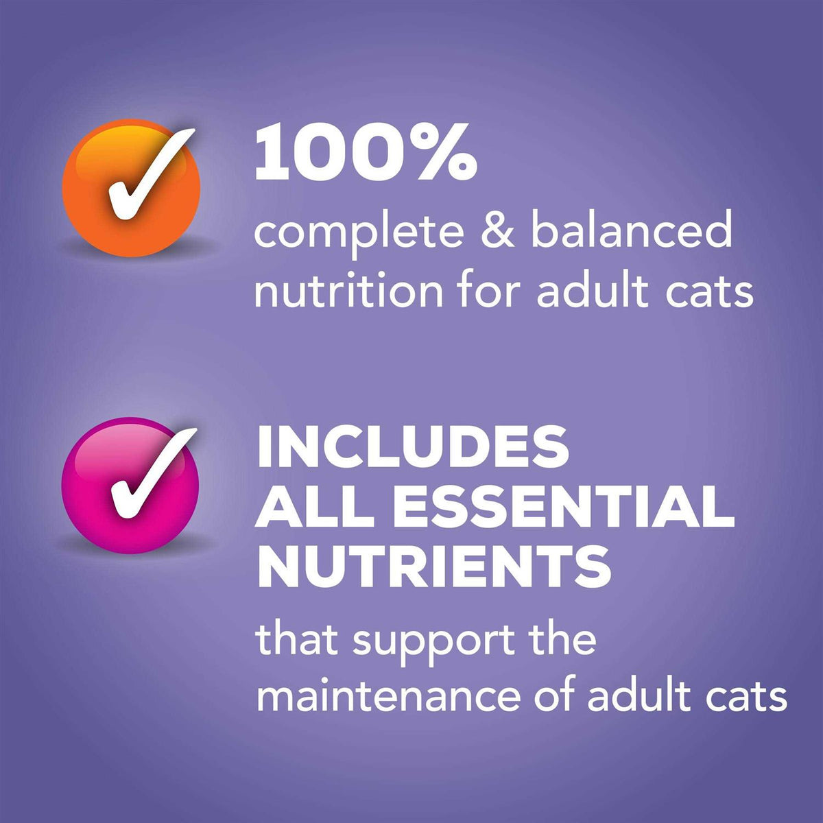 Seafood & Chicken Pate Variety Pack Wet Cat Food D2001