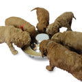 Stainless Steel Puppy Feeding Food and Water Bowls Z4698