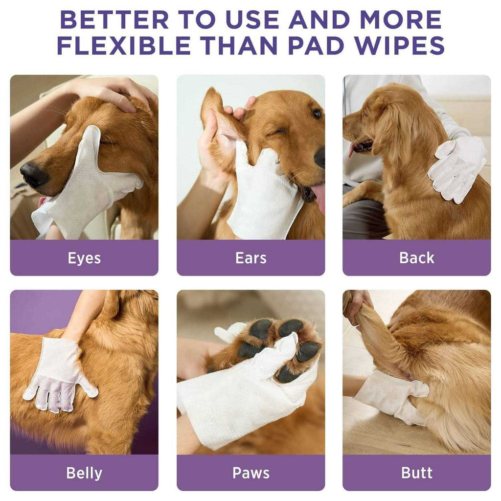 Deodorizing Pet Glove Wipes 20 pc F719648