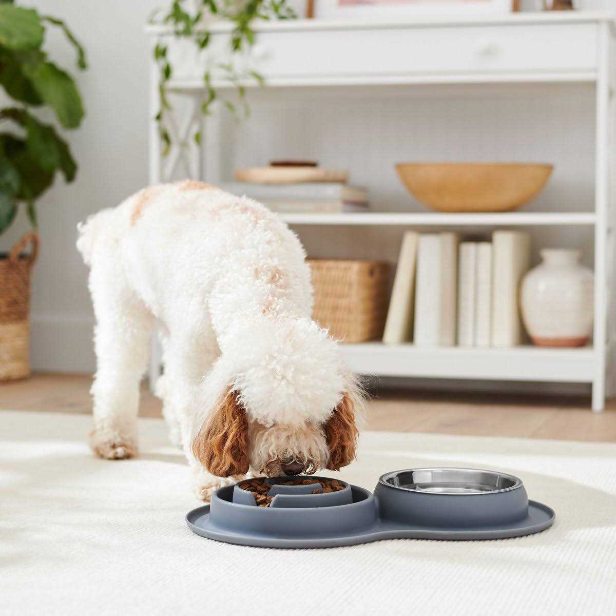 Silicone Slow Feeder Mat with Stainless Steel Bowl E4287