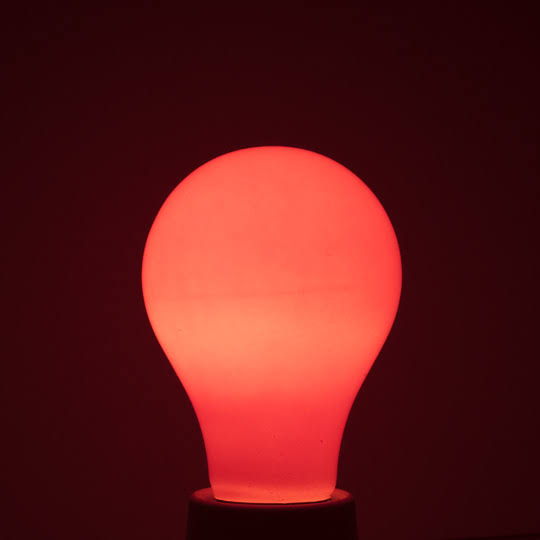 Set of 18 Dimmable Incandescent Light Bulb Ceramic Orange F23272
