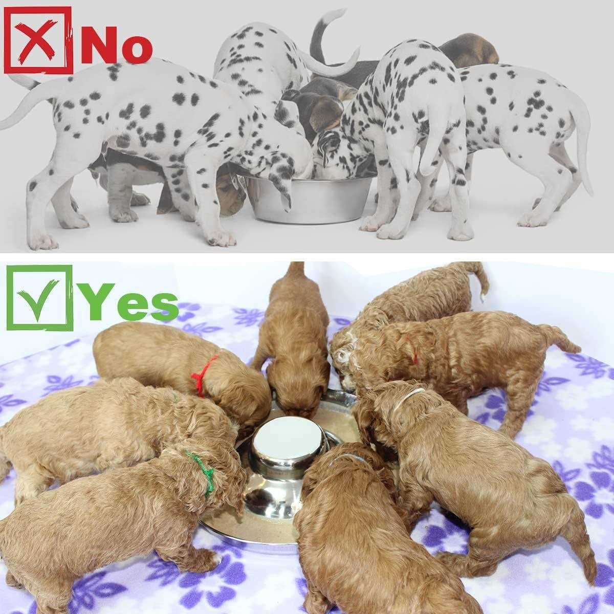 Stainless Steel Puppy Feeding Food and Water Bowls Z4698