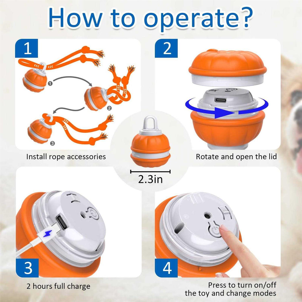 Interactive Dog Ball X33643