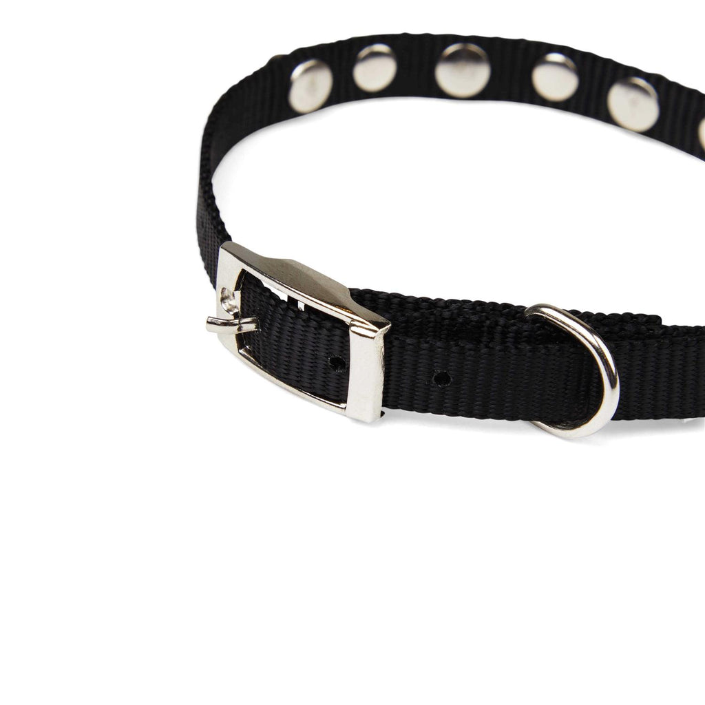 Black Bling Dog Collar F44587