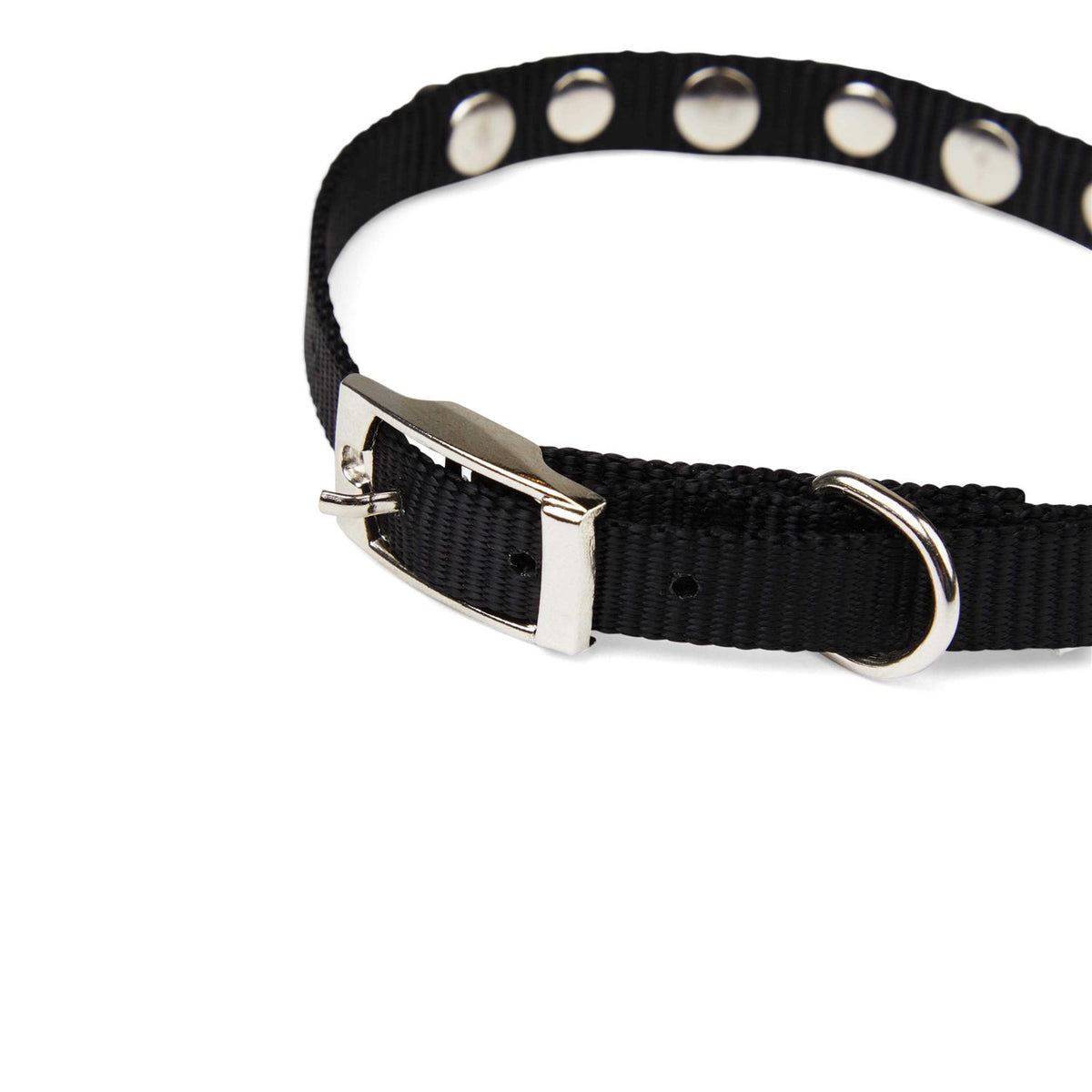 Black Bling Dog Collar F44587