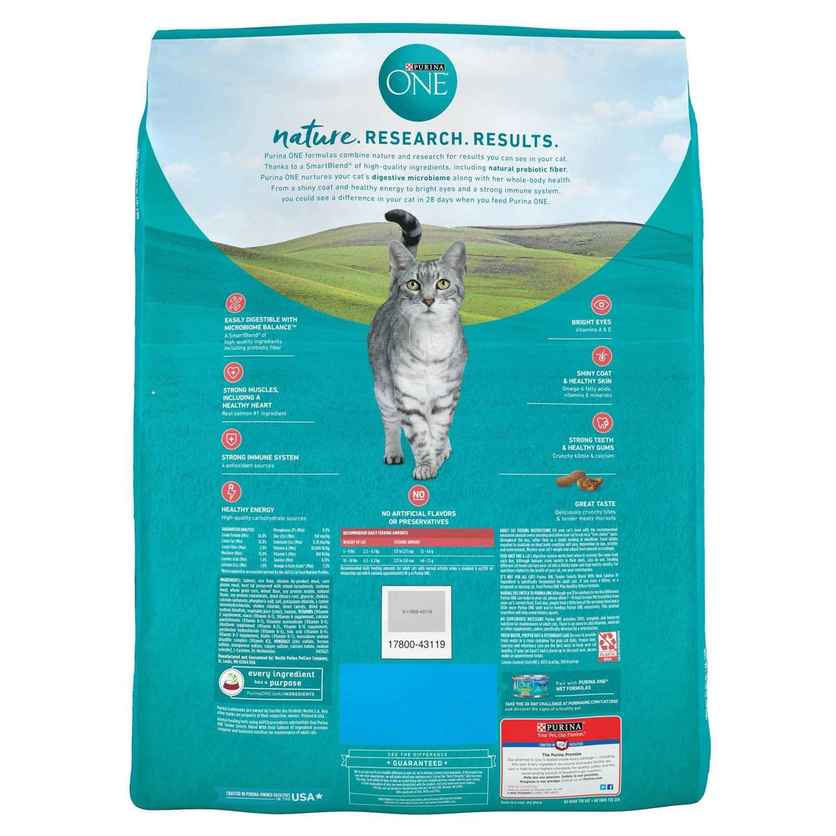 Dry Cat Food G6348