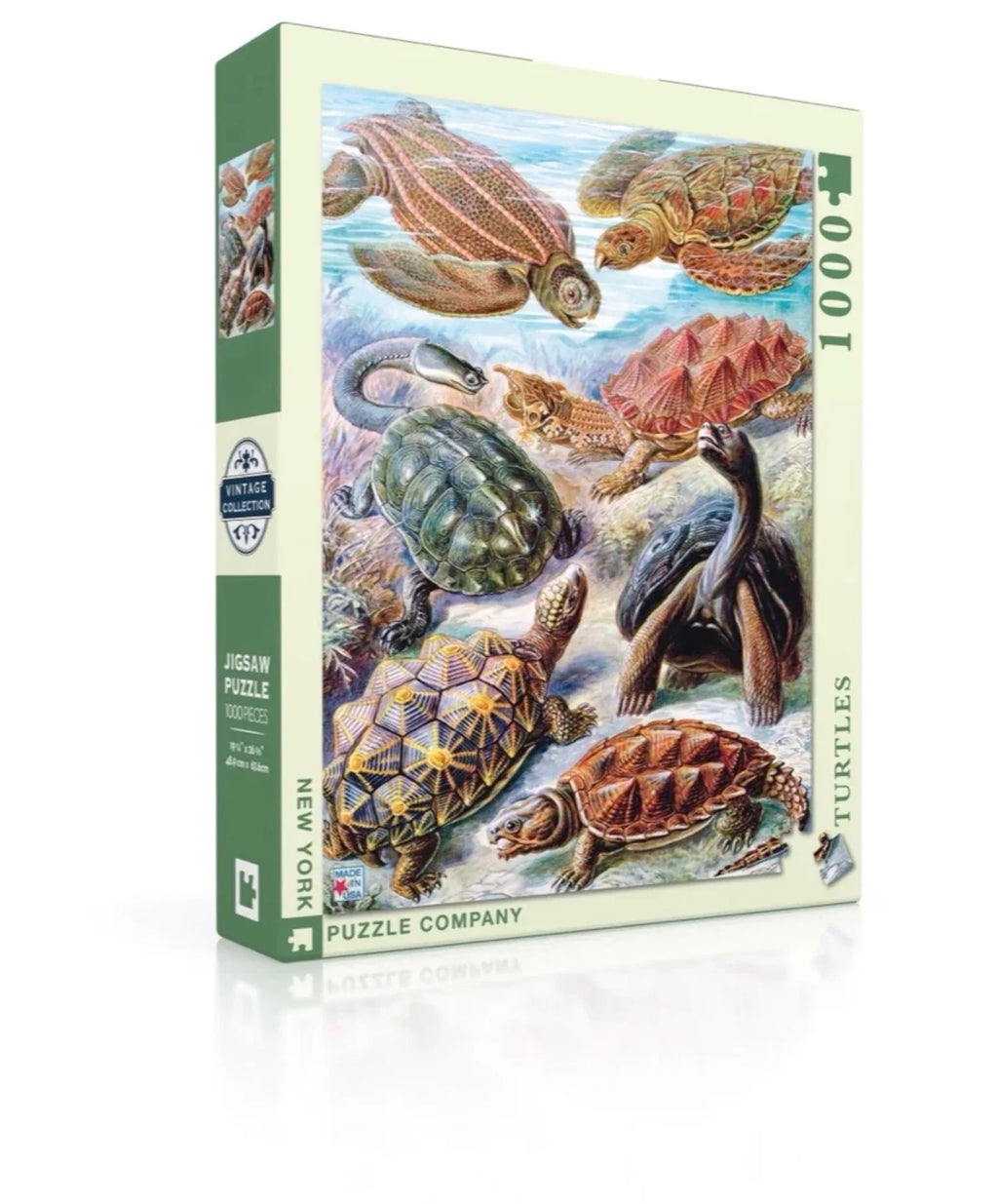 Turtles Y949