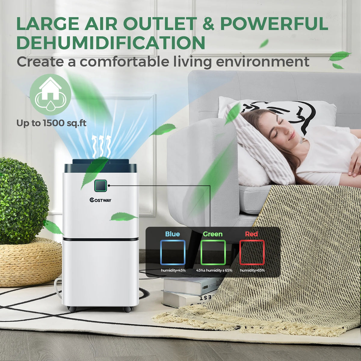 24 Pints Dehumidifier W8789