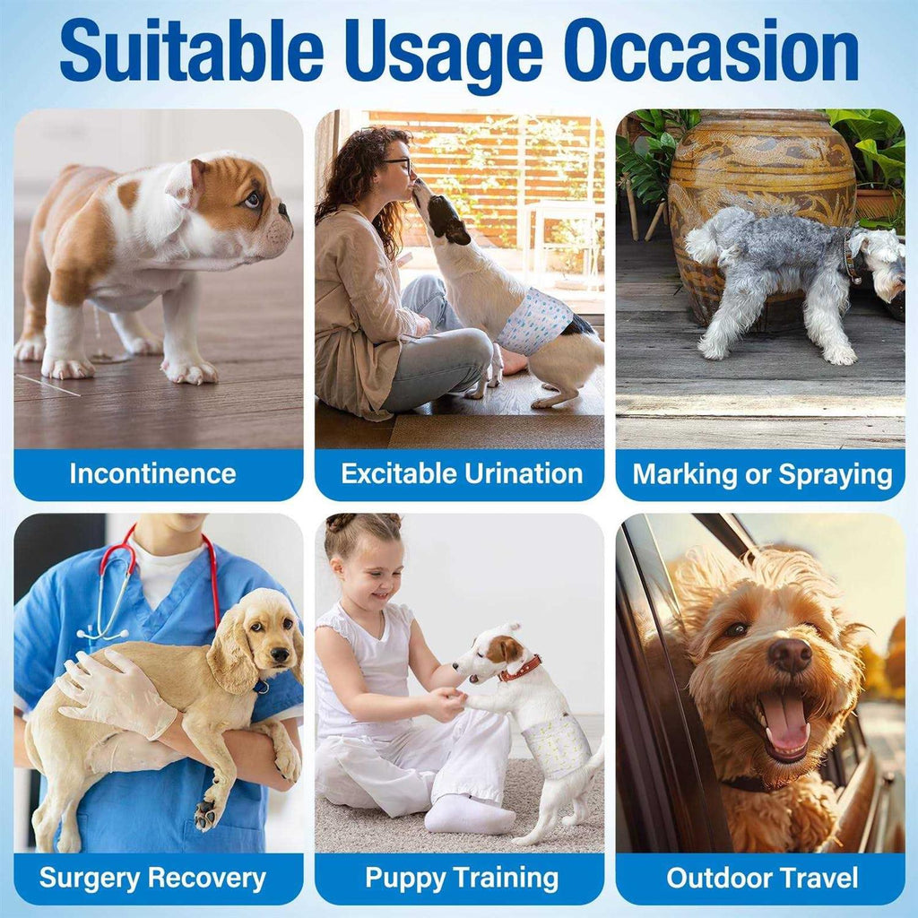Soft Disposable Male Dog Wraps X530
