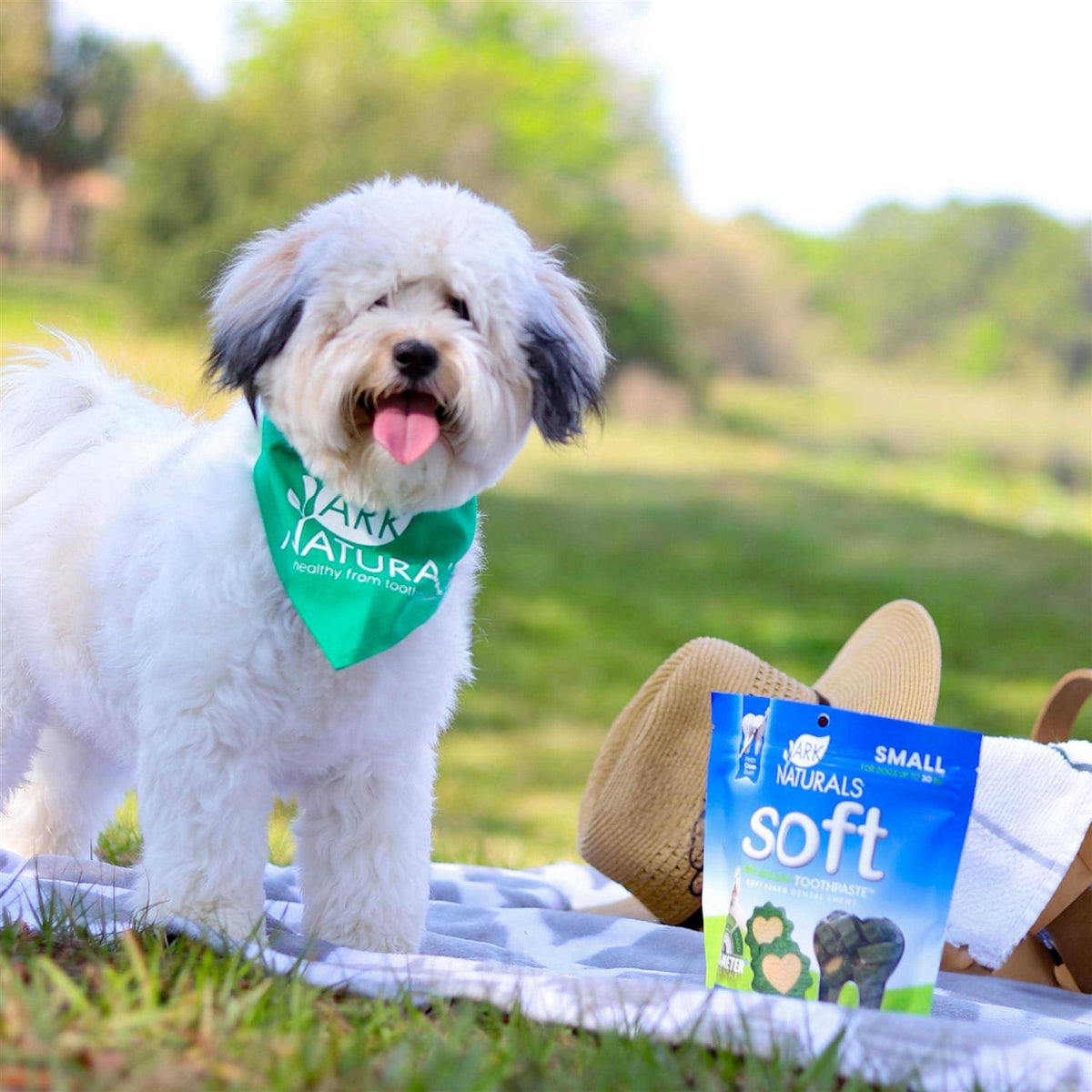 Dog Toothpaste B443