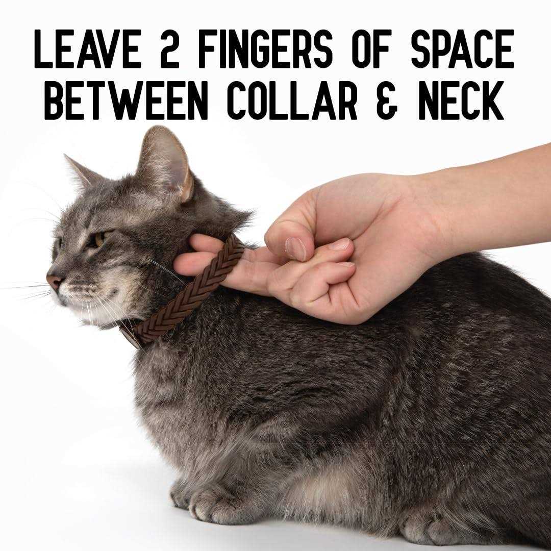 Hip + Joint Mobility Collar for Cats Q952104