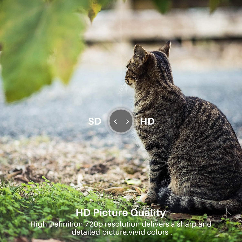 32 inch 720p HD HDR Smart LED TV T851401