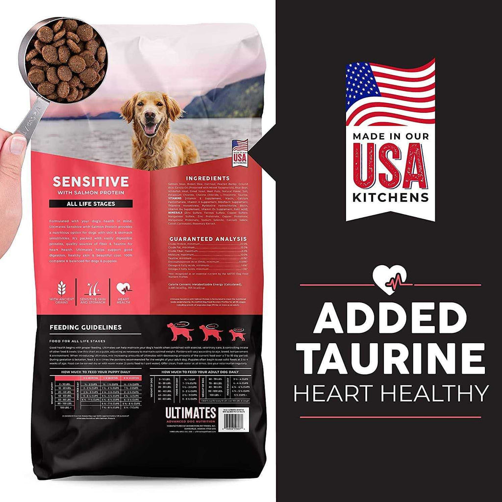 Sensitive Salmon Dry Dog Food B247