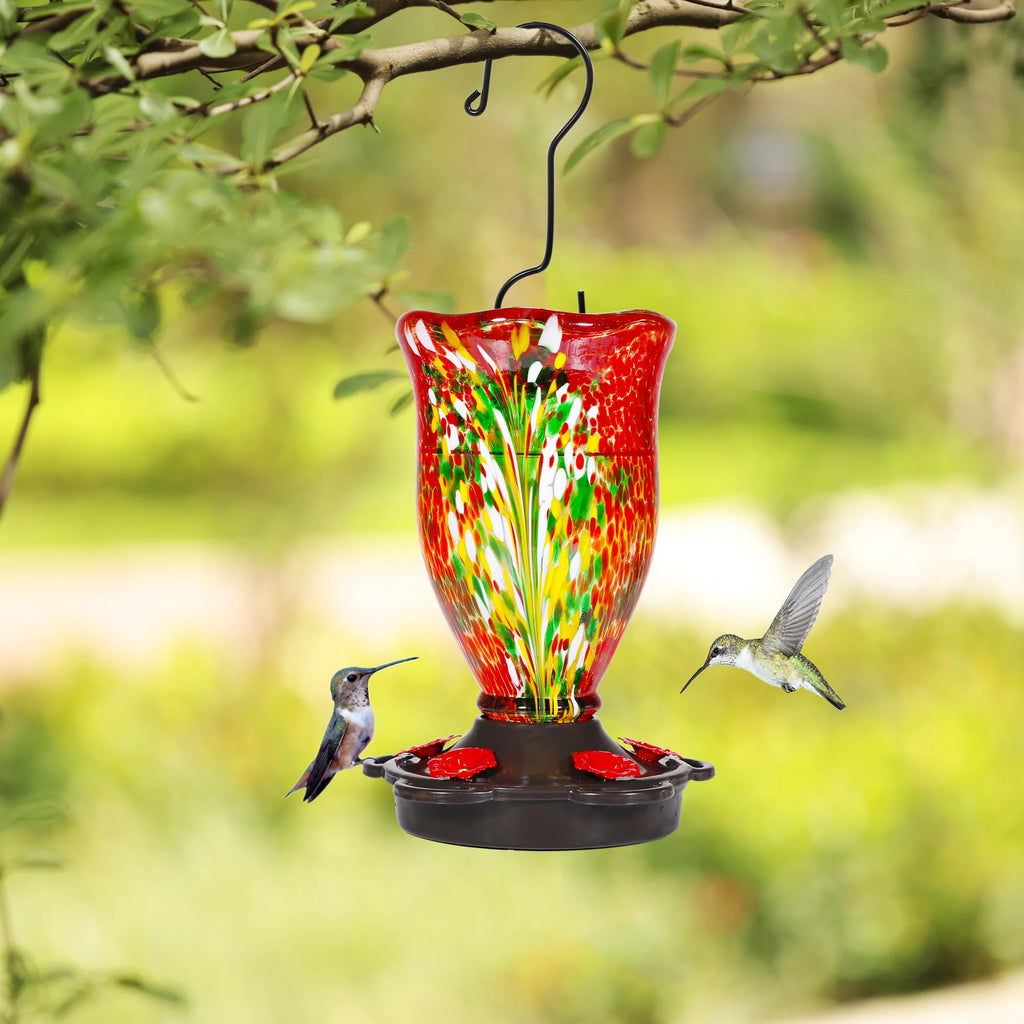 Blown Glass Hummingbird Feeder with Ant Moat A8607