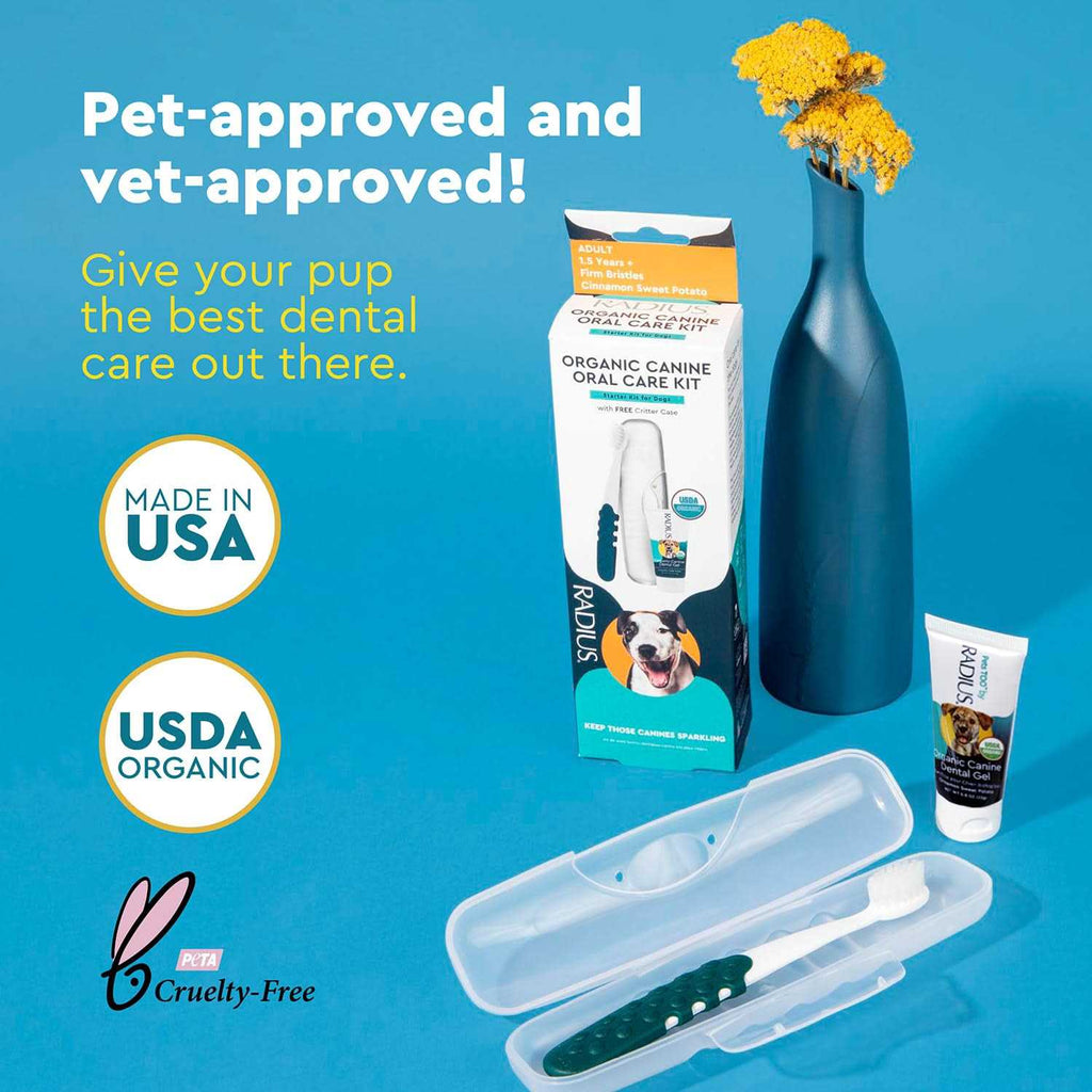 Organic Dental Kit B53839