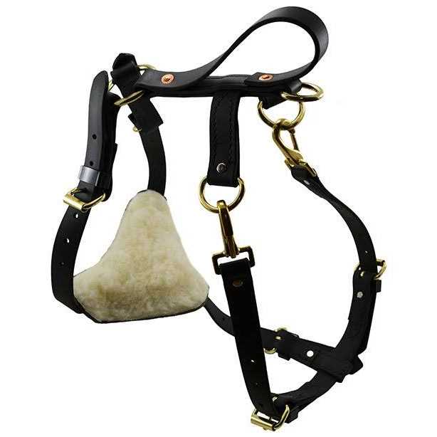 Biothane Multi-Function Harness M7418