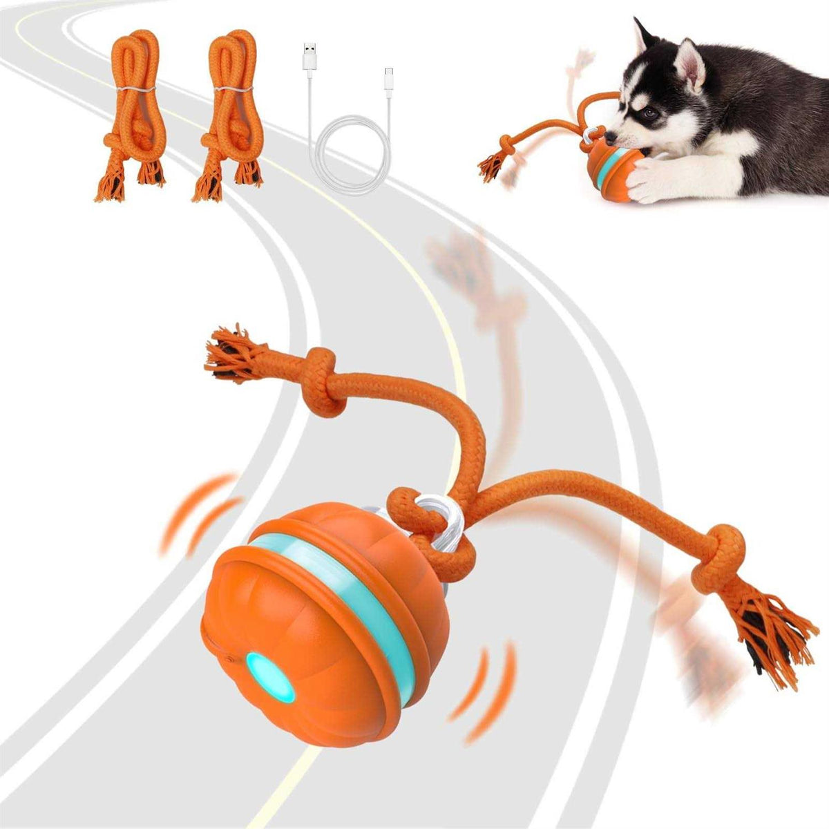 Interactive Dog Ball X33643