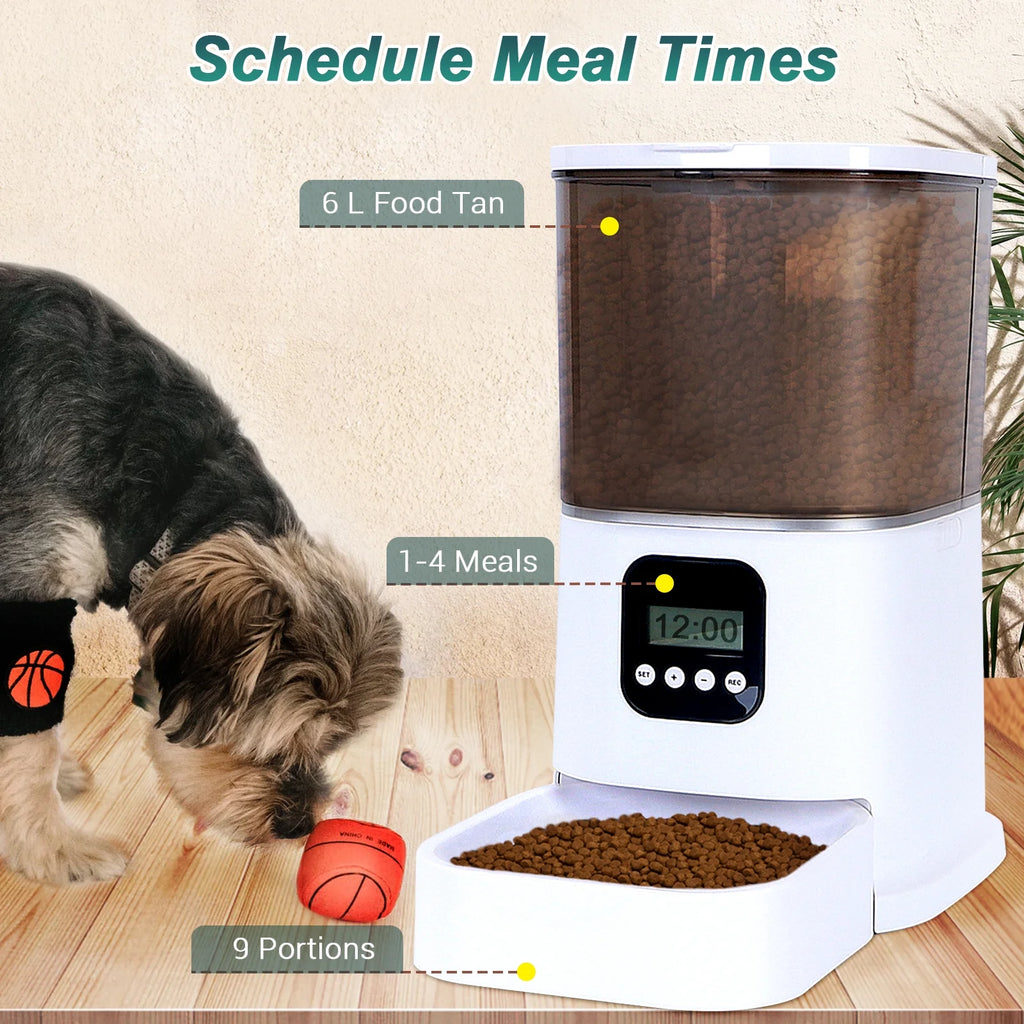 Automatic Cat Feeder 6L Dry Food Dispenser with Desiccant Bag S61420
