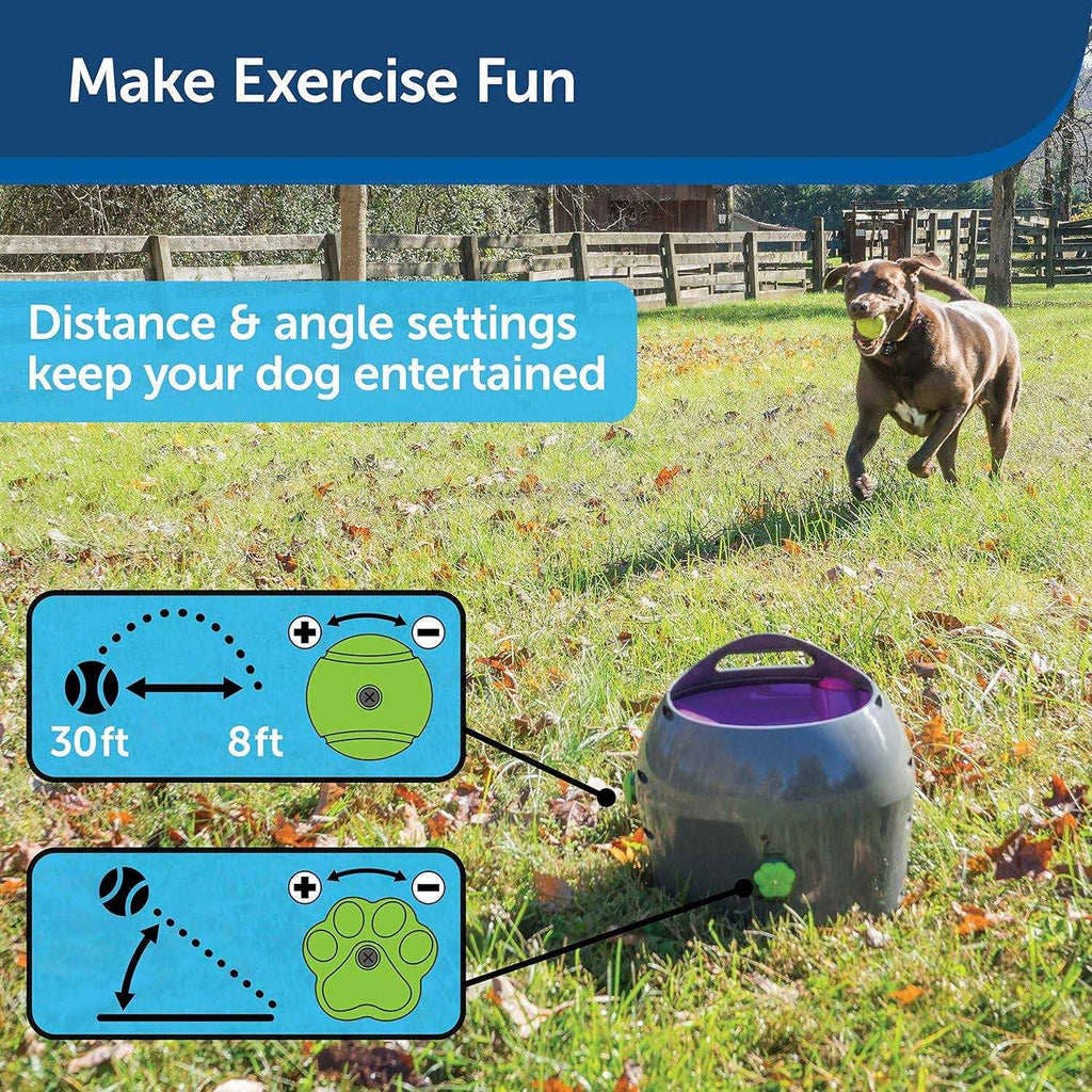 Automatic Ball Launcher Dog Toy P3408