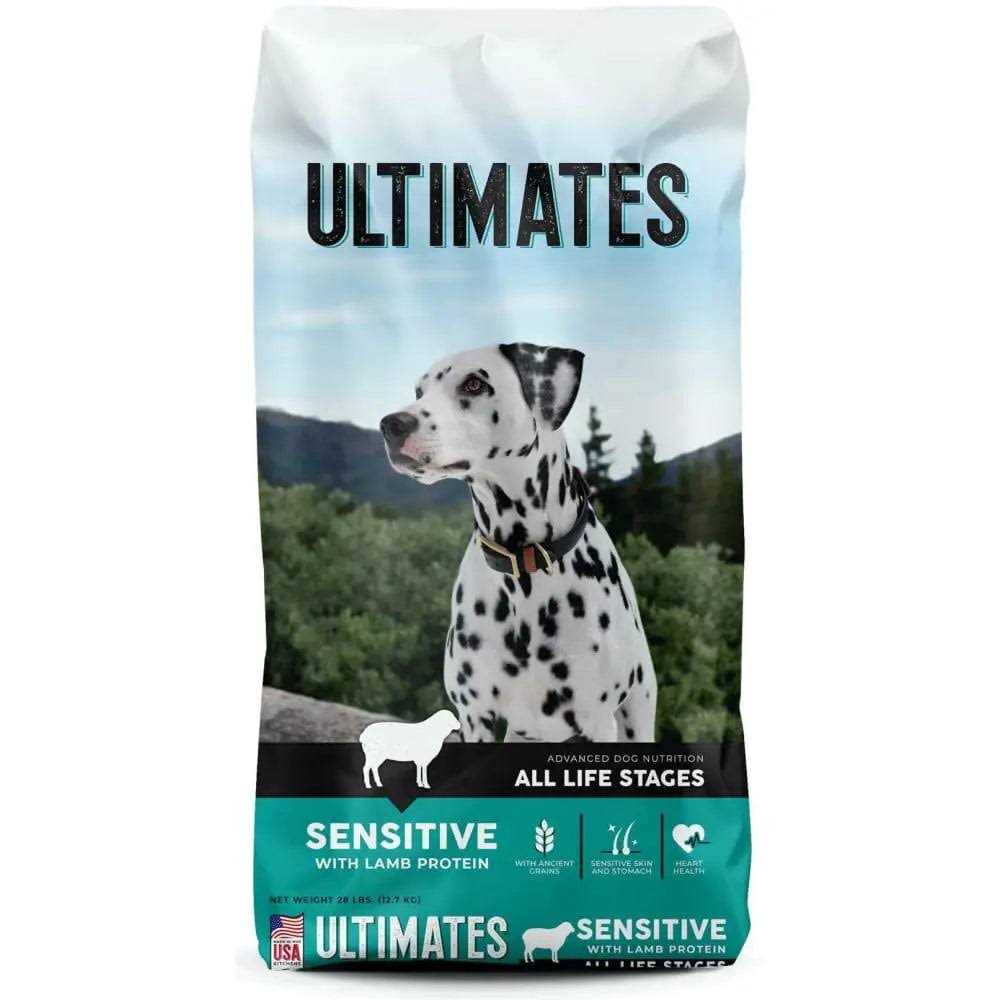 Sensitive Salmon Dry Dog Food B247