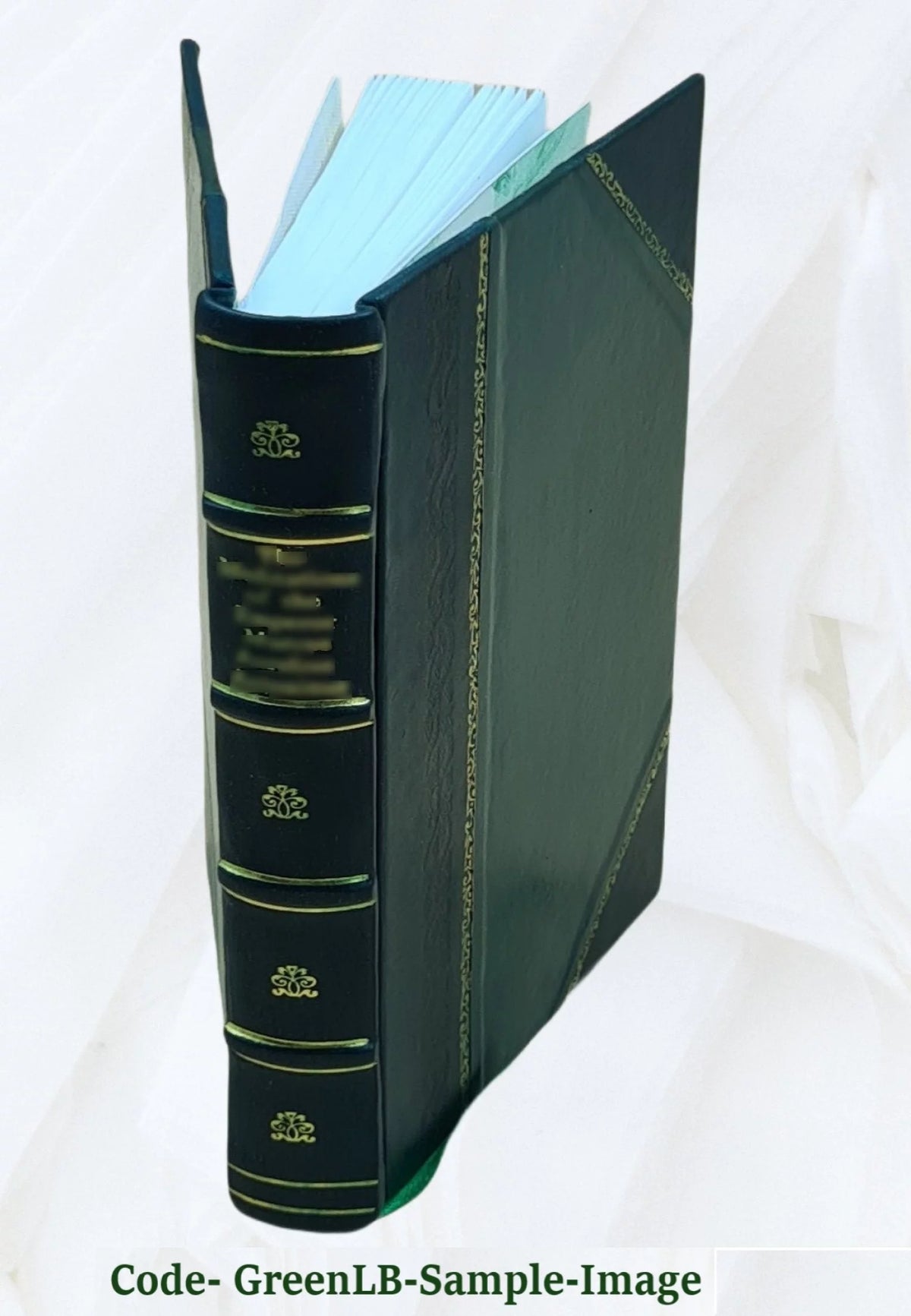 Leather Bound O840039