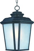 Black Oxide 1 Light Outdoor Hanging Lantern X89109