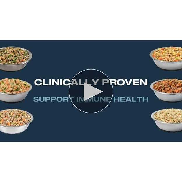 Shelf-Stable Fresh Dog Food G184080